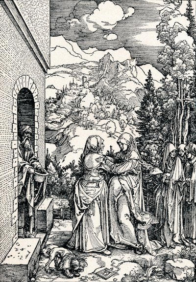 Ziyaret, 1506 1906 by Albrecht Dürer