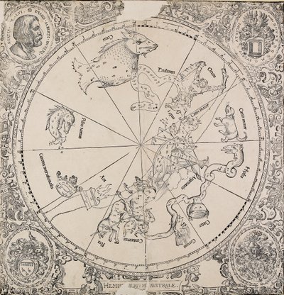 Güney yarımkürenin göksel haritası, 16. yüzyılın başlarında by Albrecht Dürer
