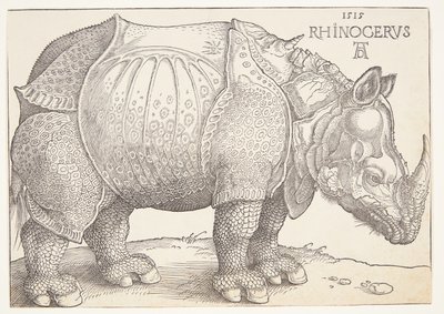 gergedan by Albrecht Dürer