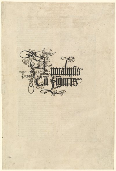 Baş sayfa by Albrecht Dürer