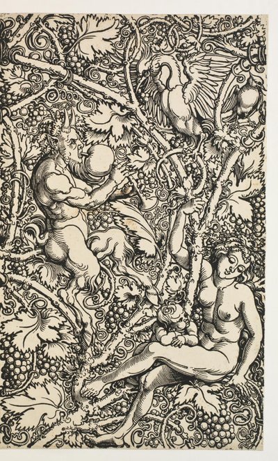 Satyrfamily ile goblen için iki tasarım by Albrecht Dürer