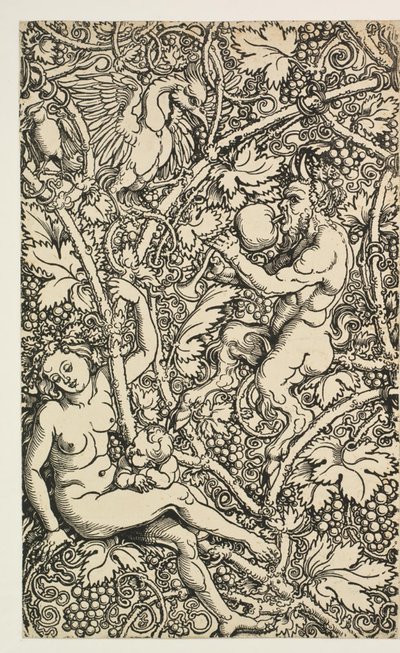 Satyrfamily ile goblen için iki tasarım by Albrecht Dürer
