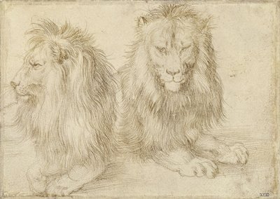 İki oturan aslan, 1521 by Albrecht Dürer