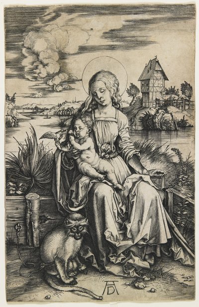 Maymunlu Bakire ve Çocuk, c. 1498 by Albrecht Dürer