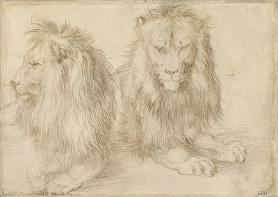 İki yalancı aslan. 1521 by Albrecht Dürer
