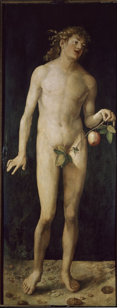 Adam (tahta üzerine yağ by Albrecht Dürer