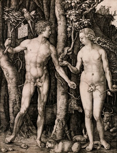 Adem ve Havva by Albrecht Dürer