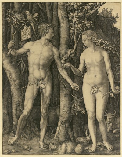 Adem ve Havva by Albrecht Dürer