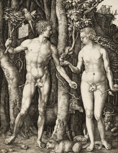 Adem ve Havva by Albrecht Dürer
