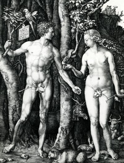 Adem ve Havva by Albrecht Dürer