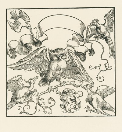 Diğer dört kuş tarafından saldırıya uğrayan bir baykuş, c.1515 (gravür) by Albrecht Dürer or Duerer
