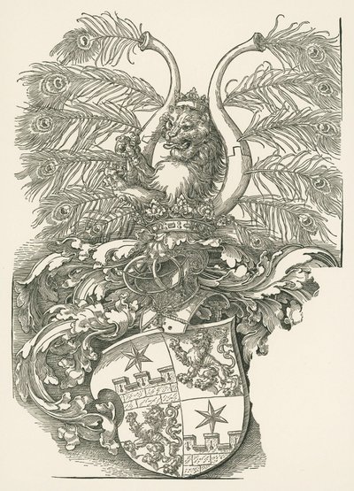 Roggendorf Arması by Albrecht Dürer or Duerer