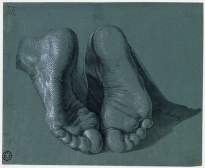Etude de pieds - İki Ayak Çalışması - Albrecht Durer (1471-1528), Suluboya, beyaz renk, kağıt üzerine siyah tebeşir, c1508 (17,6x21.6cm) - Boijmans Van Beuningen Müzesi, Rotterdam by Albrecht Dürer
