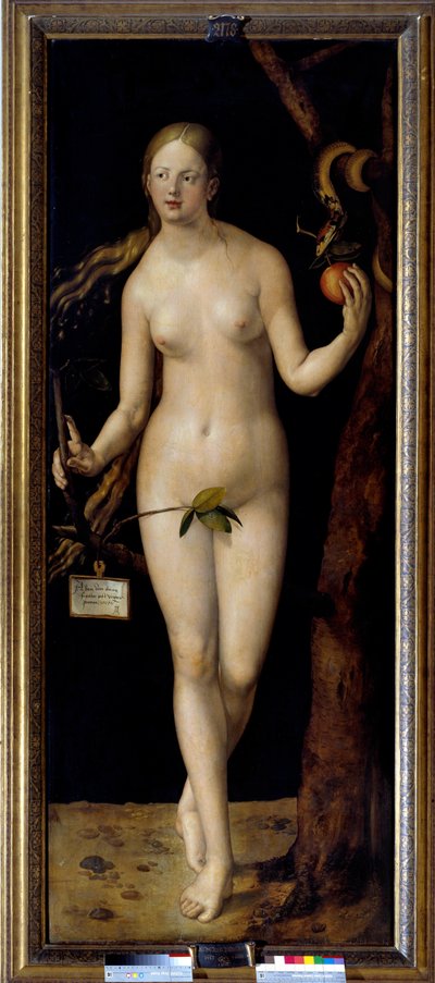 Albrecht Durer (1471-1528) tarafından Havva Tablosu, ahşap üzerine yağlı boya by Albrecht Dürer