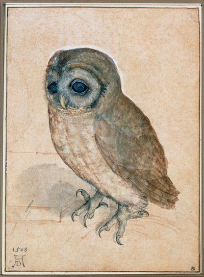  by Albrecht Dürer or Duerer