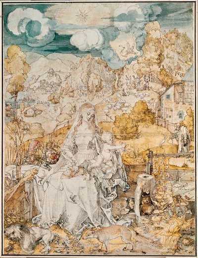 Madonna with a Multitude of Animals (kağıt üzerine suluboya, kalem ve fırça) by Albrecht Dürer or Duerer