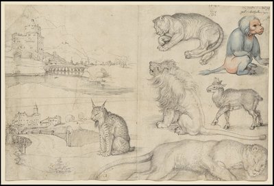 Hayvan ve Manzara Eskizleri, 1521 by Albrecht Dürer