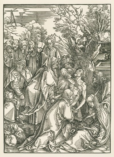  by Albrecht Dürer or Duerer