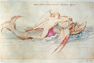  by Albrecht Dürer or Duerer