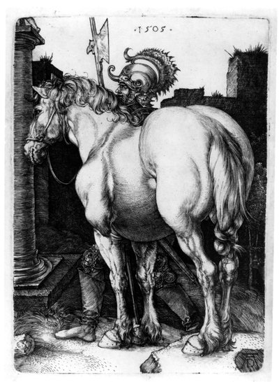 Büyük At, 1509 by Albrecht Dürer