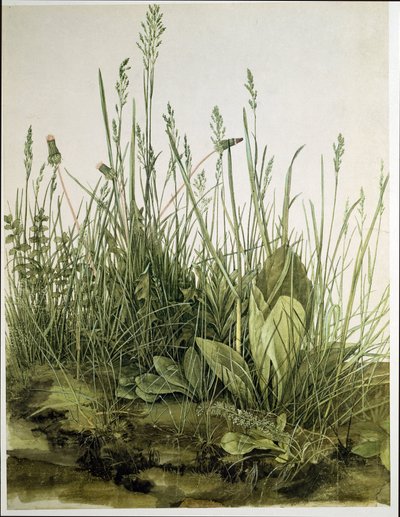  by Albrecht Dürer or Duerer
