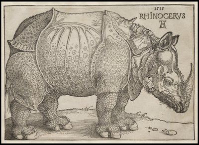 Gergedan, 1515 by Albrecht Dürer