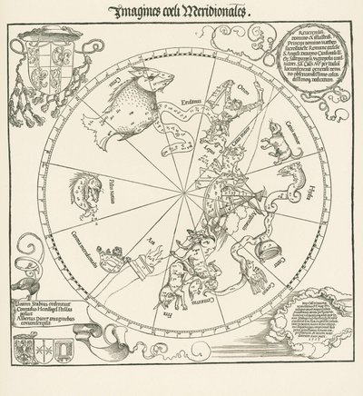 Gökkürenin Güney Yarımküresi by Albrecht Dürer or Duerer