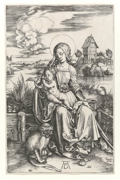 Maymunlu Bakire, c.1498 (Burin gravürü) by Albrecht Dürer