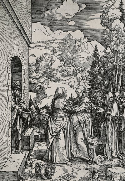 Ziyaret by Albrecht Dürer