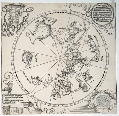 Bilinmeyen resim by Albrecht Dürer