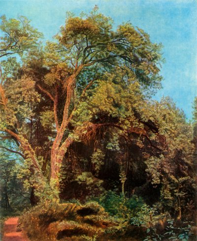Parktaki Ağaç, 19. yüzyılın ortalarında, 1965. by Aleksandr Ivanov