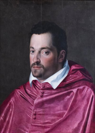 Kardinal Ferdinando Medici'nin Portresi by Alessandro Allori