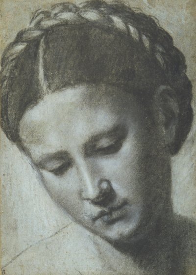Örgülü saçlı bir kadın kafası (carta azzura üzerinde karakalem ve beyaz tebeşir) by Alessandro Bonvicino Moretto