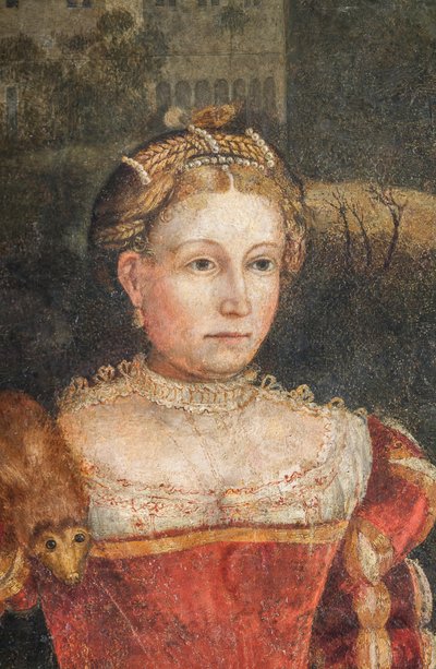 Soylu bir kadının portresi, Soylu Hanımların Küçük Odasının detayı (duvarlara yapıştırılmış tuval üzerine yağlı boya) by Alessandro Bonvicino Moretto