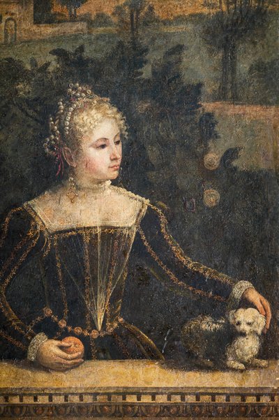 Soylu bir kadının portresi, Soylu Hanımların Küçük Odasının detayı (duvarlara yapıştırılmış tuval üzerine yağlı boya) by Alessandro Bonvicino Moretto