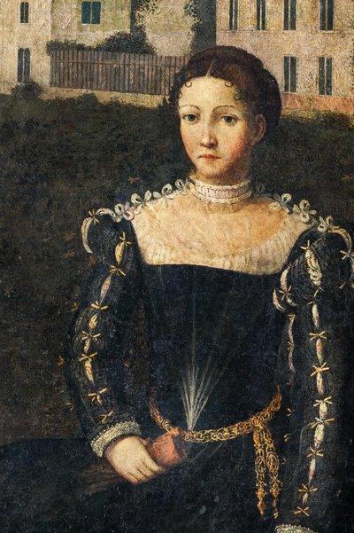 Soylu bir kadının portresi, Soylu Hanımların Küçük Odasının detayı (duvarlara yapıştırılmış tuval üzerine yağlı boya) by Alessandro Bonvicino Moretto