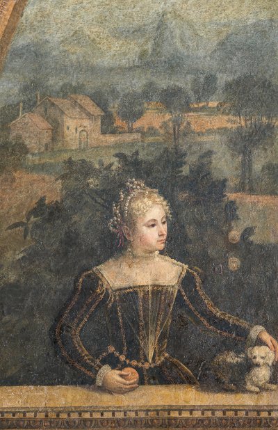 Soylu bir kadının portresi, Soylu Hanımların Küçük Odasının detayı (duvarlara yapıştırılmış tuval üzerine yağlı boya) by Alessandro Bonvicino Moretto