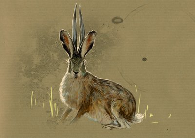 Fantastik canavarlar ve yaratıklar, kriptozooloji: Jackalope'nin temsili, efsanevi hayvan mi lievre mi antilop (efsanevi hayvan antilop boynuzlu tavşan) - Çizim, Alessandro Lonati, 2012 by Alessandro Lonati