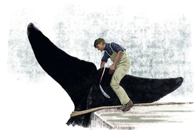 Balina teknesi bir balinanın kuyruğunu kesiyor by Alessandro Lonati