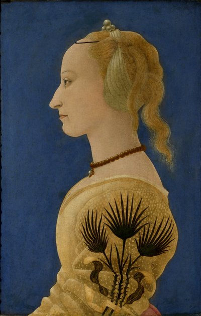Sarı Bir Kadının Portresi, c.1465 (panel) by Alessio Baldovinetti