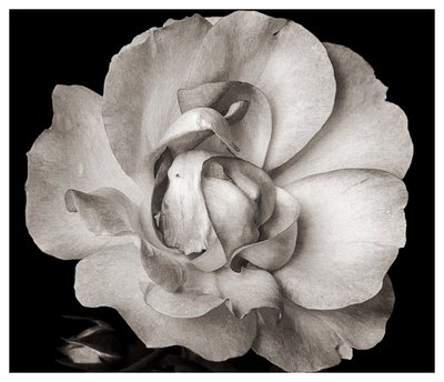 İsimsiz,2019,(fotoğraf) by Alex Caminker