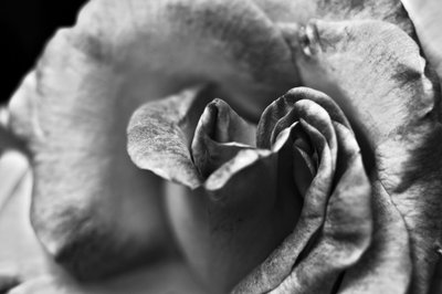 İsimsiz,2019,(fotoğraf) by Alex Caminker