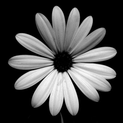 beş kere üç,2019,(fotoğraf) by Alex Caminker