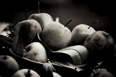 hasat,2019,(fotoğraf) by Alex Caminker