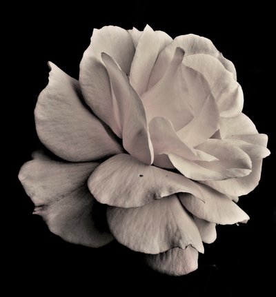 yaşayan geometri,2019,(fotoğraf) by Alex Caminker