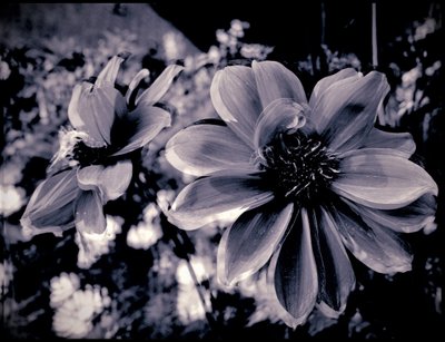 tiyatro dekorasyonu,2019,(fotoğraf) by Alex Caminker