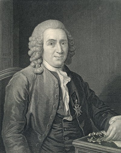 Charles Linnaeus'un Portresi by Alexander (after) Roslin