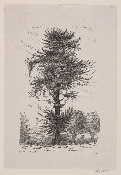 Guldberg