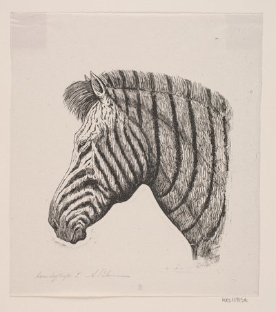 Bir Zebra Başkanı by Alexander Blom