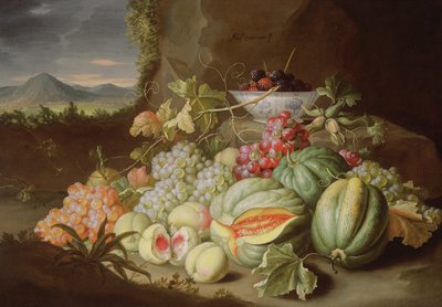 Meyveli Natürmort by Alexander Coosemans